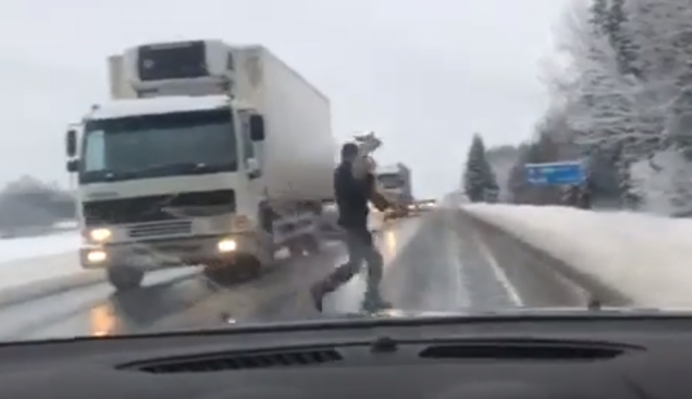 ARMAS VIDEO! Noormees peatas metslooma aitamiseks Tallinn-Tartu maanteel liikluse