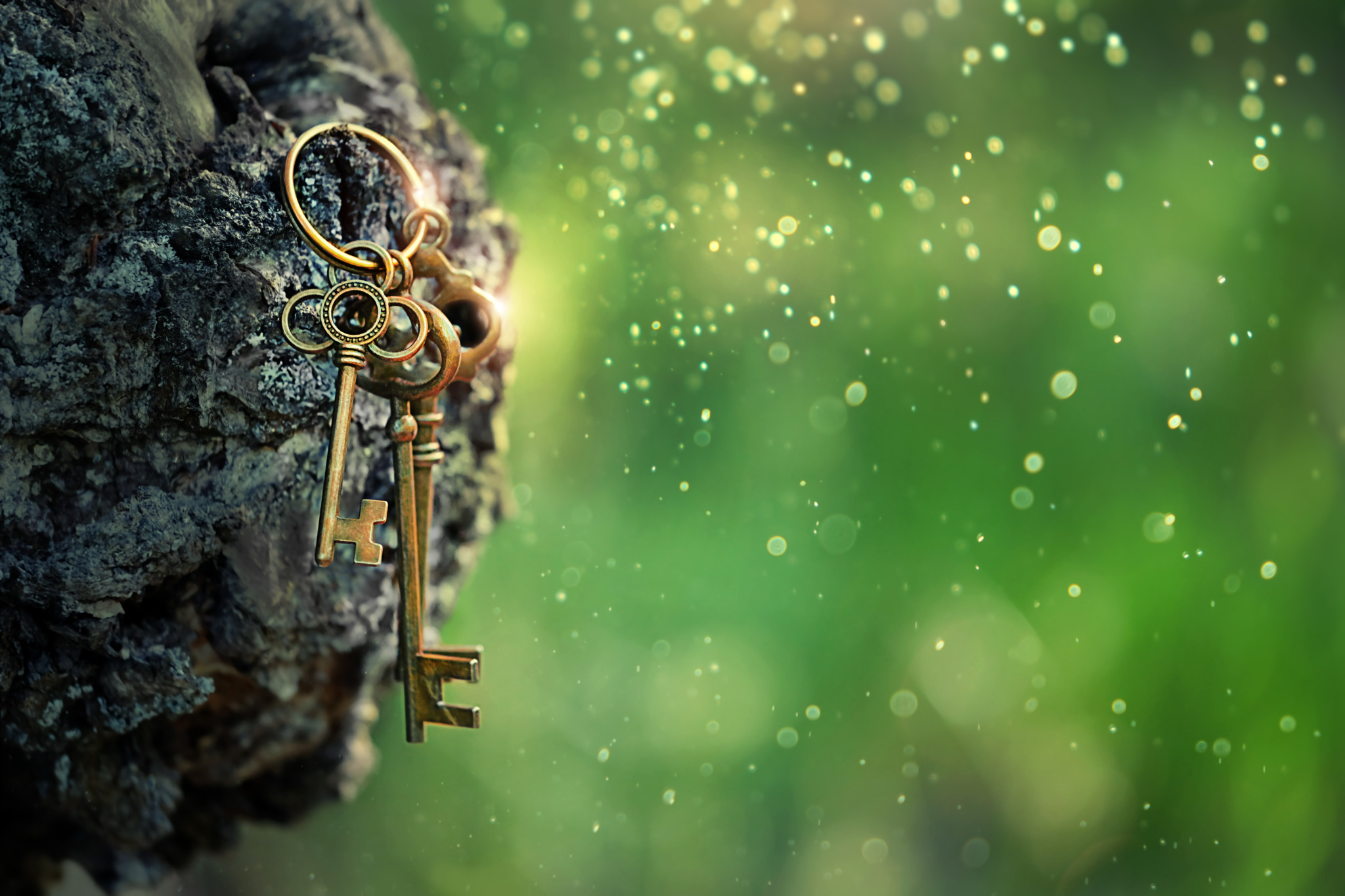 Vintage,Golden,Keys,On,Mysterious,Forest,,Natural,Green,Background.,Magical
